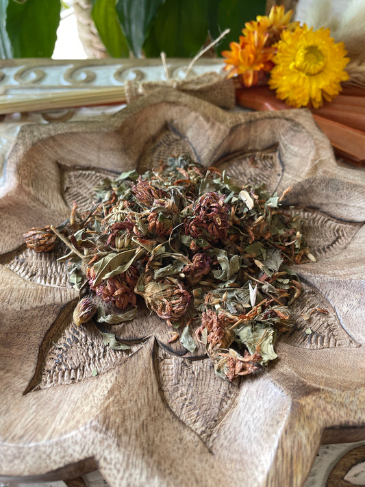 Apothecary Herb for Blessings ~ Red Clover
