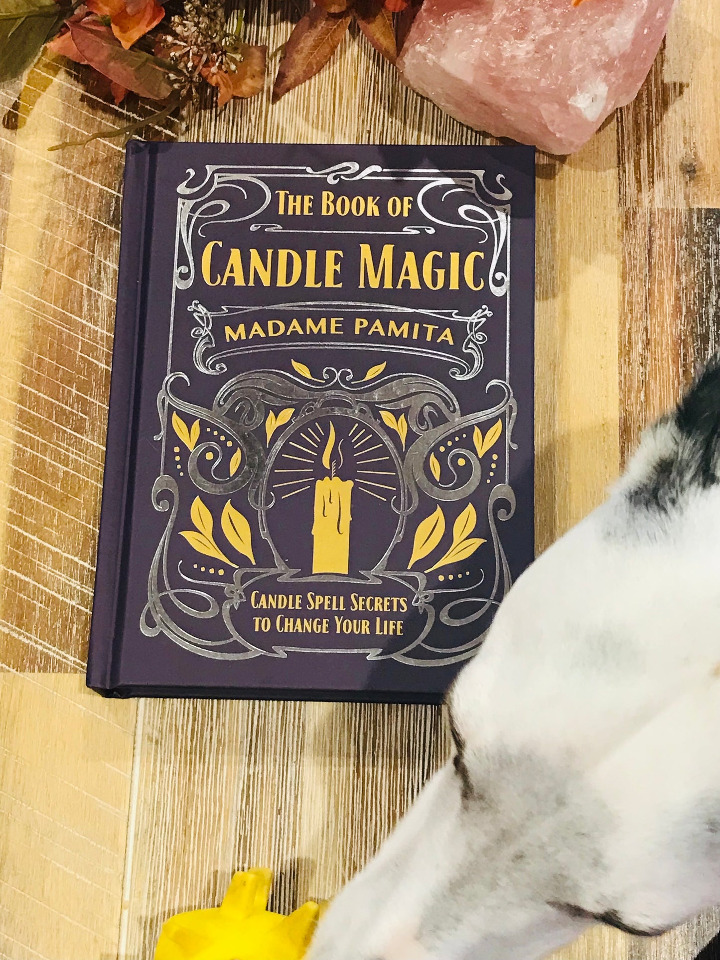 The Book of Candle Magic Madame Pamita