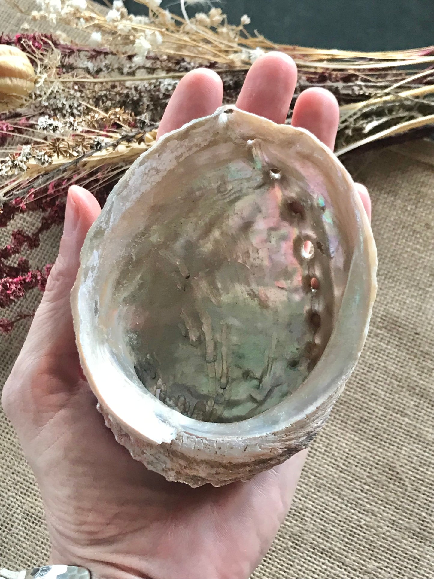Abalone Shell with Feather ~ Set of 2