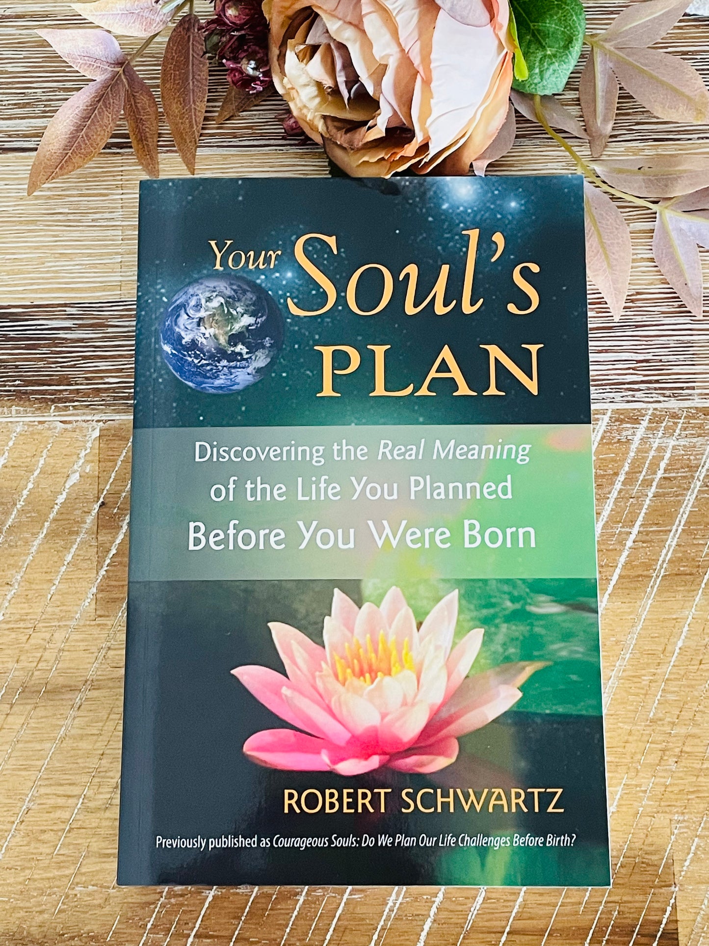 Your Soul’s Plan